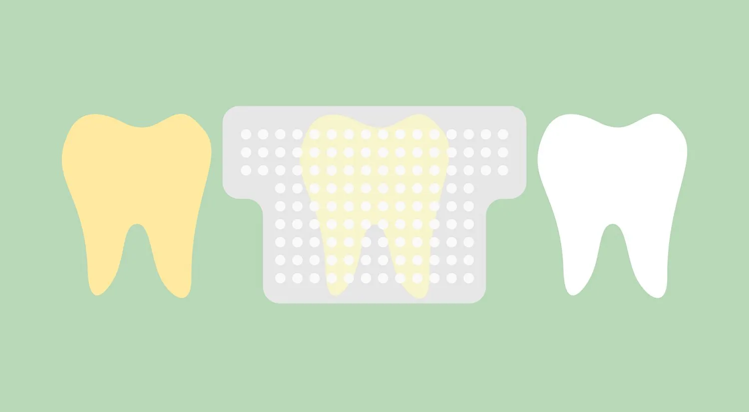 32666 dentist consultation