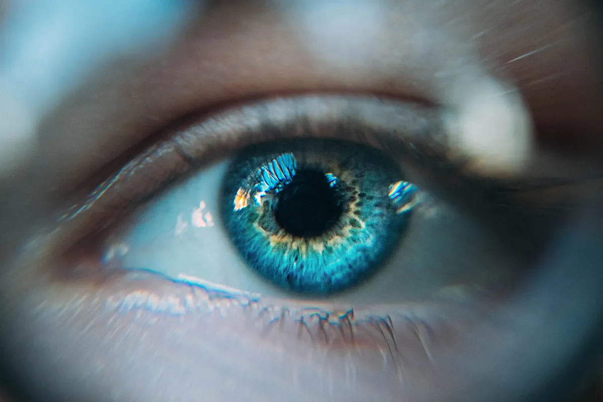 32706 photoshop adjustment layer