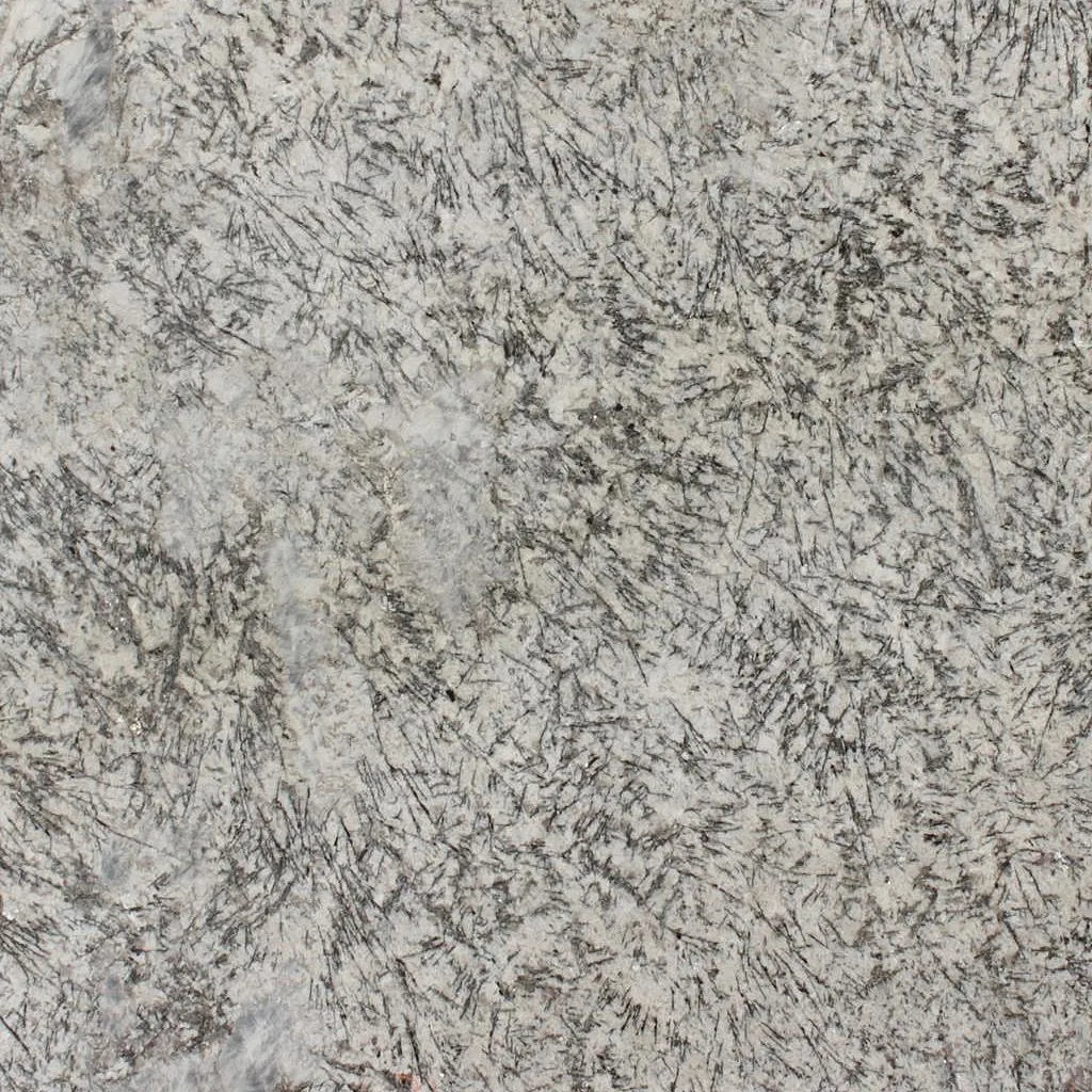 32722 professional image