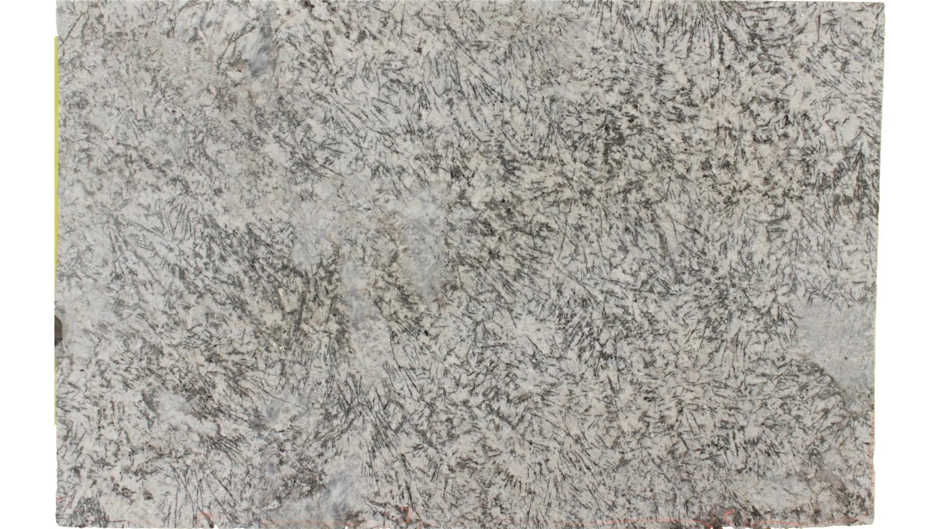 32722 youthful appearance