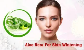 32764 skin types aloe vera