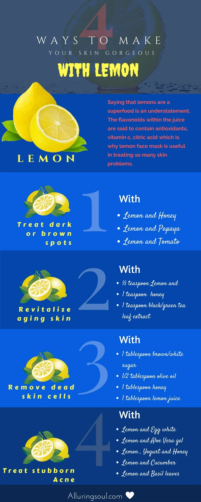 32842 lemon slice