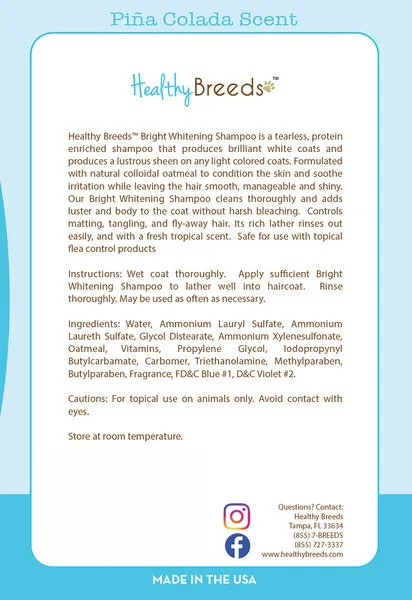 32927 maltese dog bathing